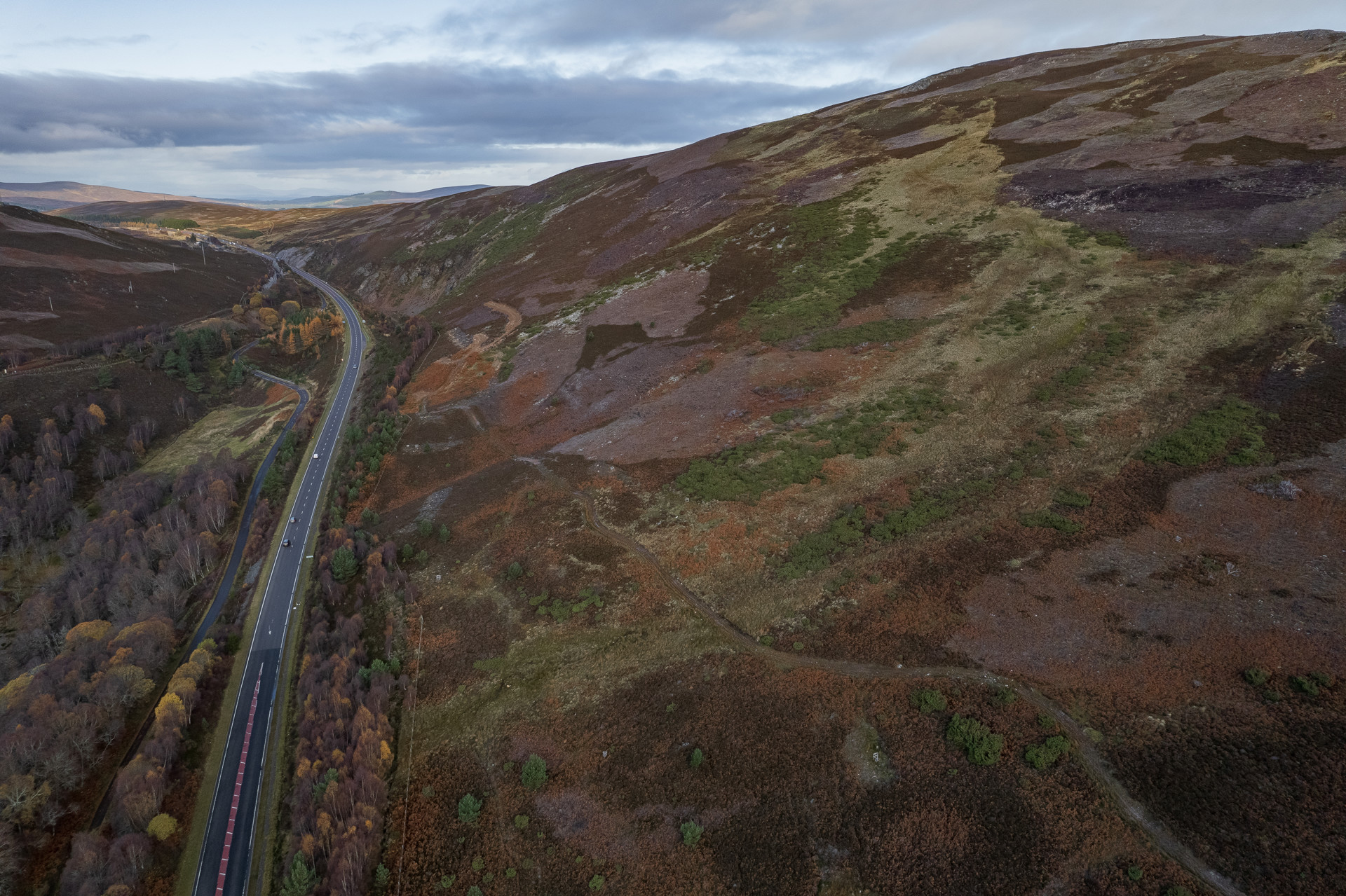 Background image - 20211110 = Dalraddy Slochd 016