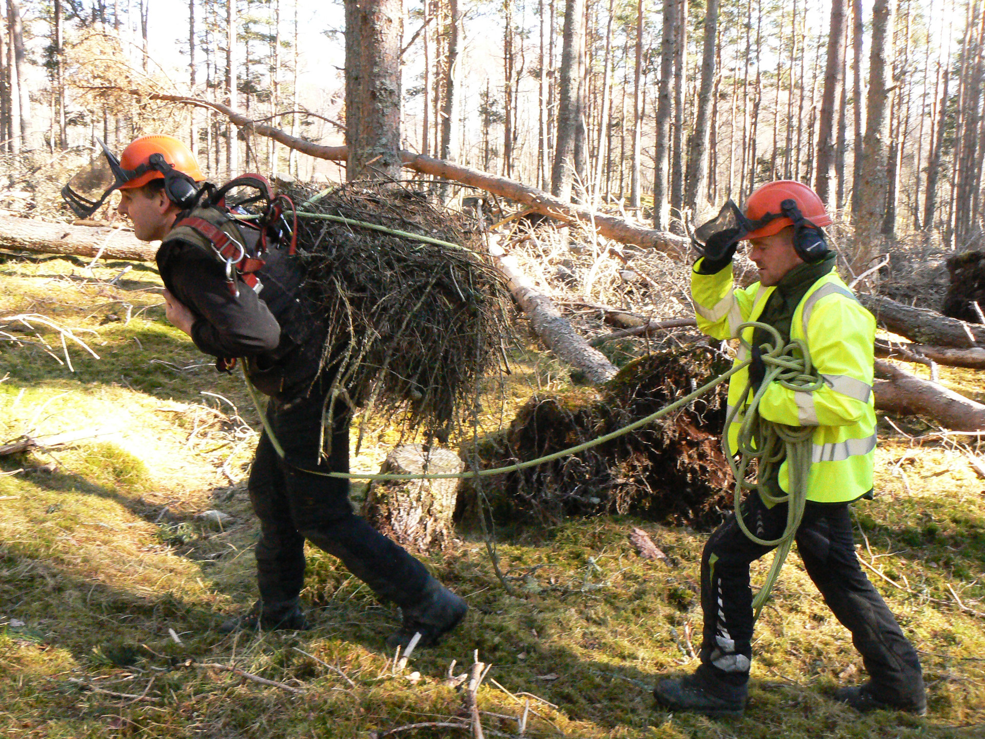 Background image - P1090210