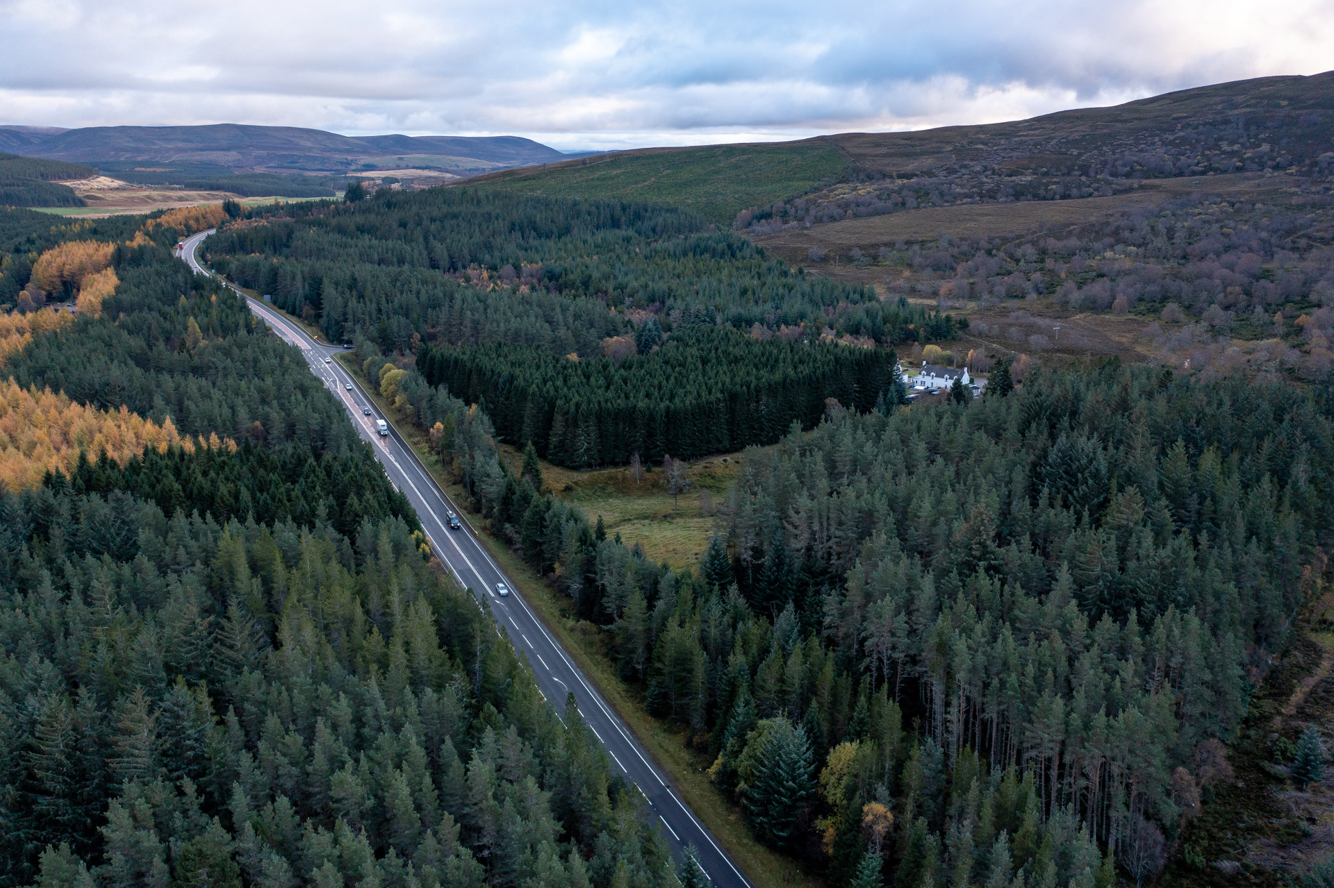 Background image - 20211102 = Tomatin Moy 029