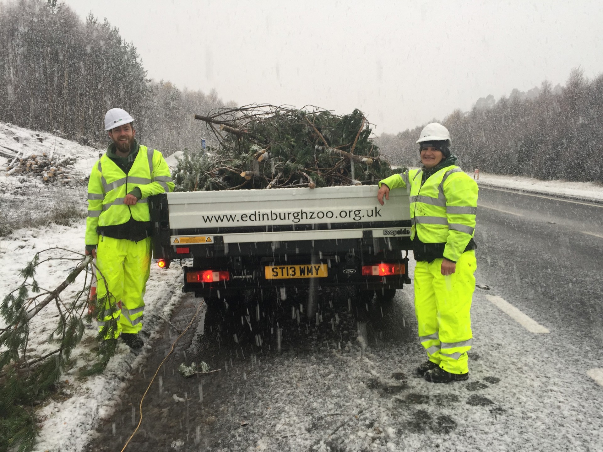 Background image - HWP6