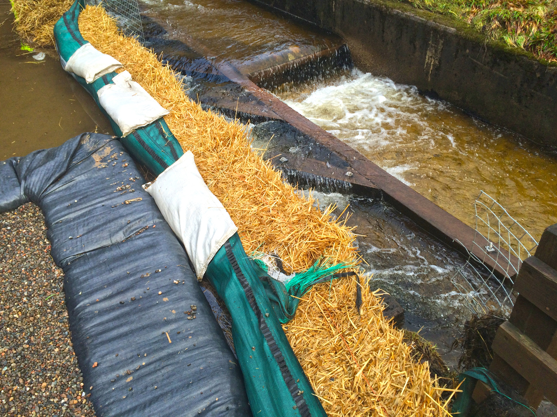 Background image - IMG 1424