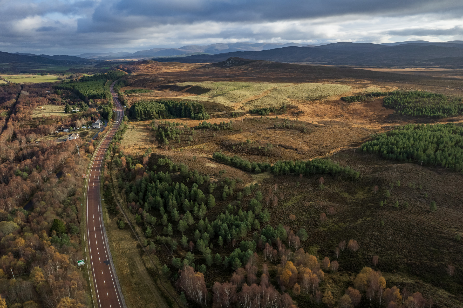 Background image - 20211110 = Crubenmore Kincraig 006