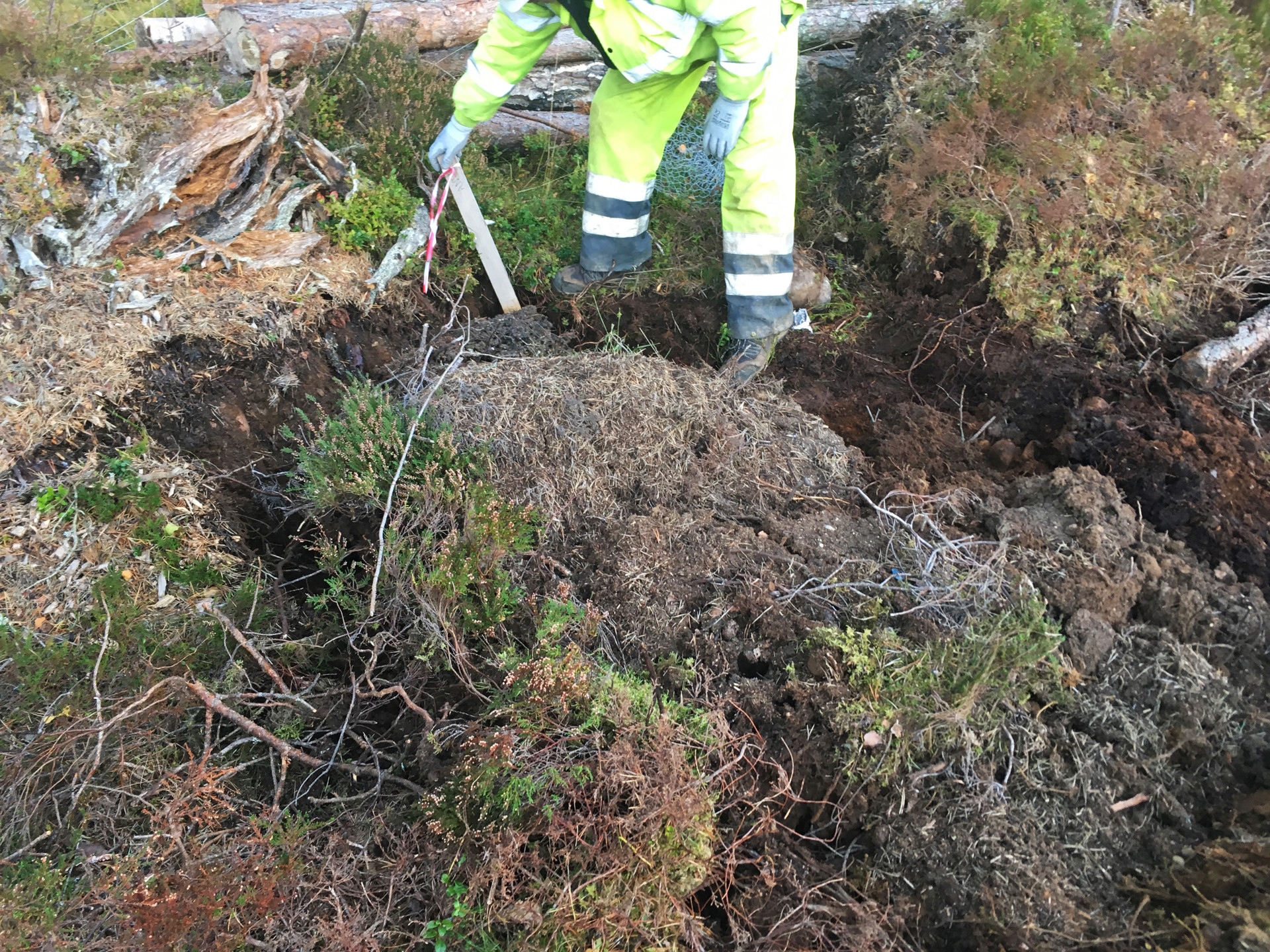 Background image - IMG 0477