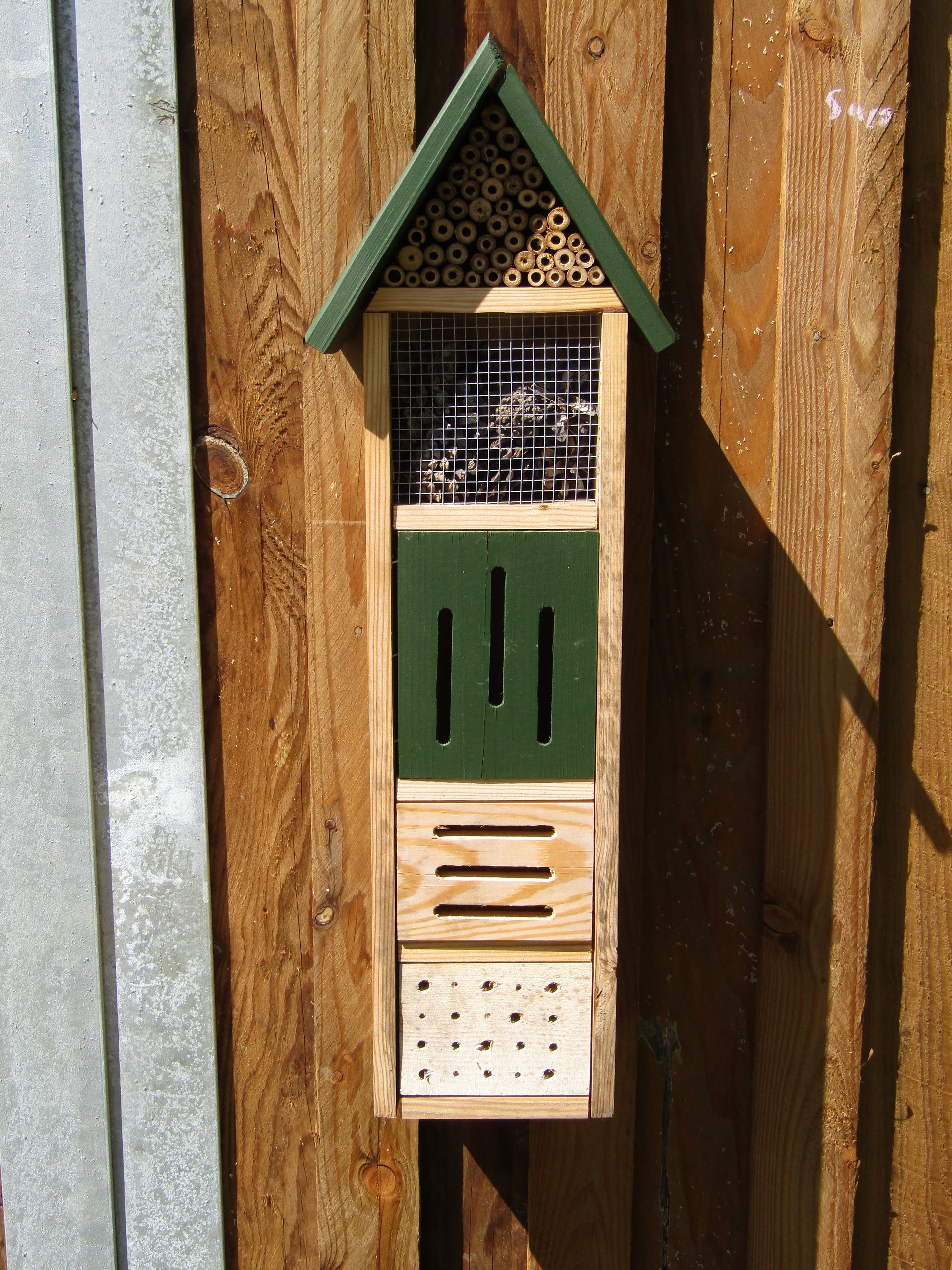 Background image - IMG 7174