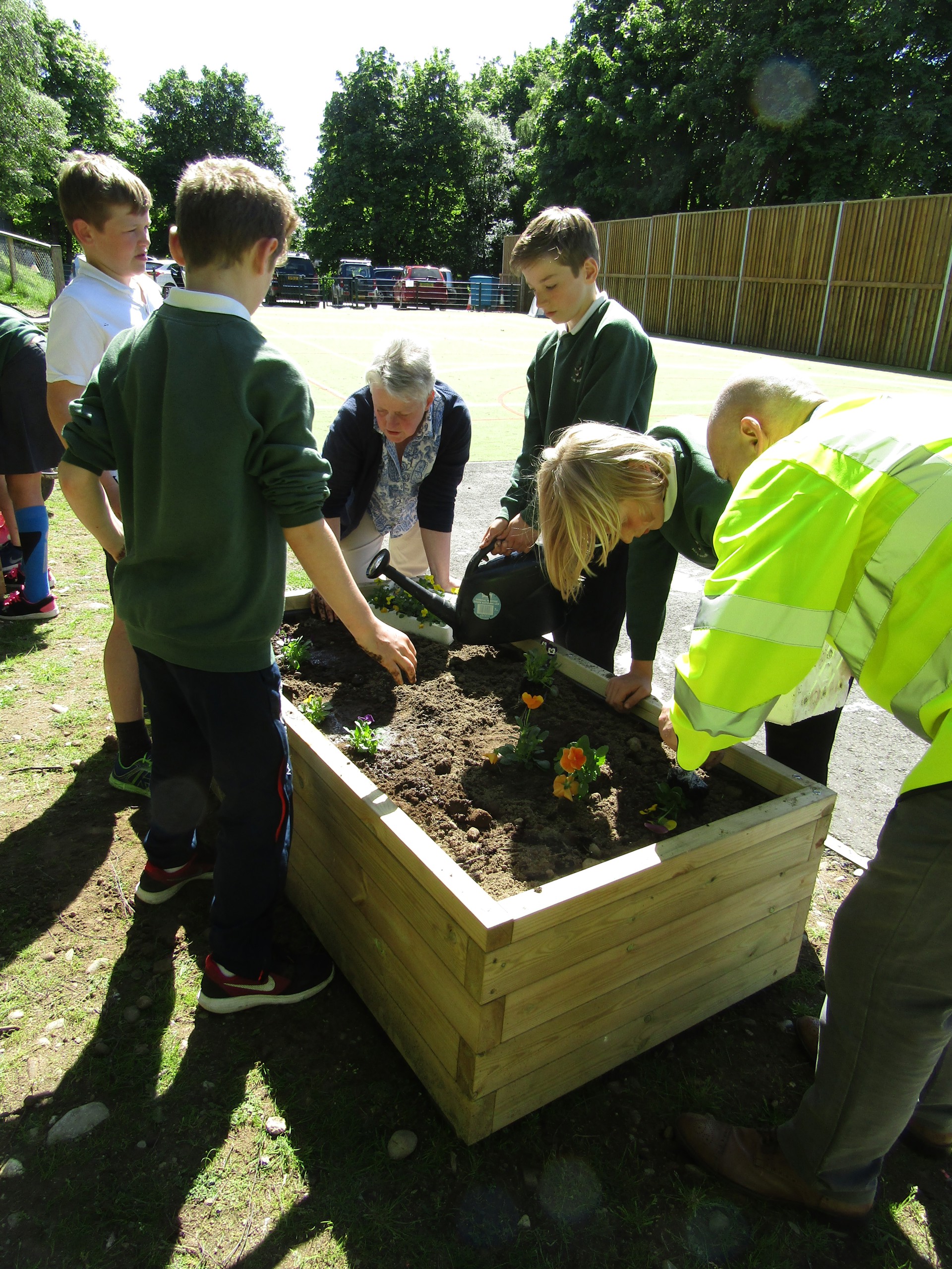 Background image - IMG 7198 (1)