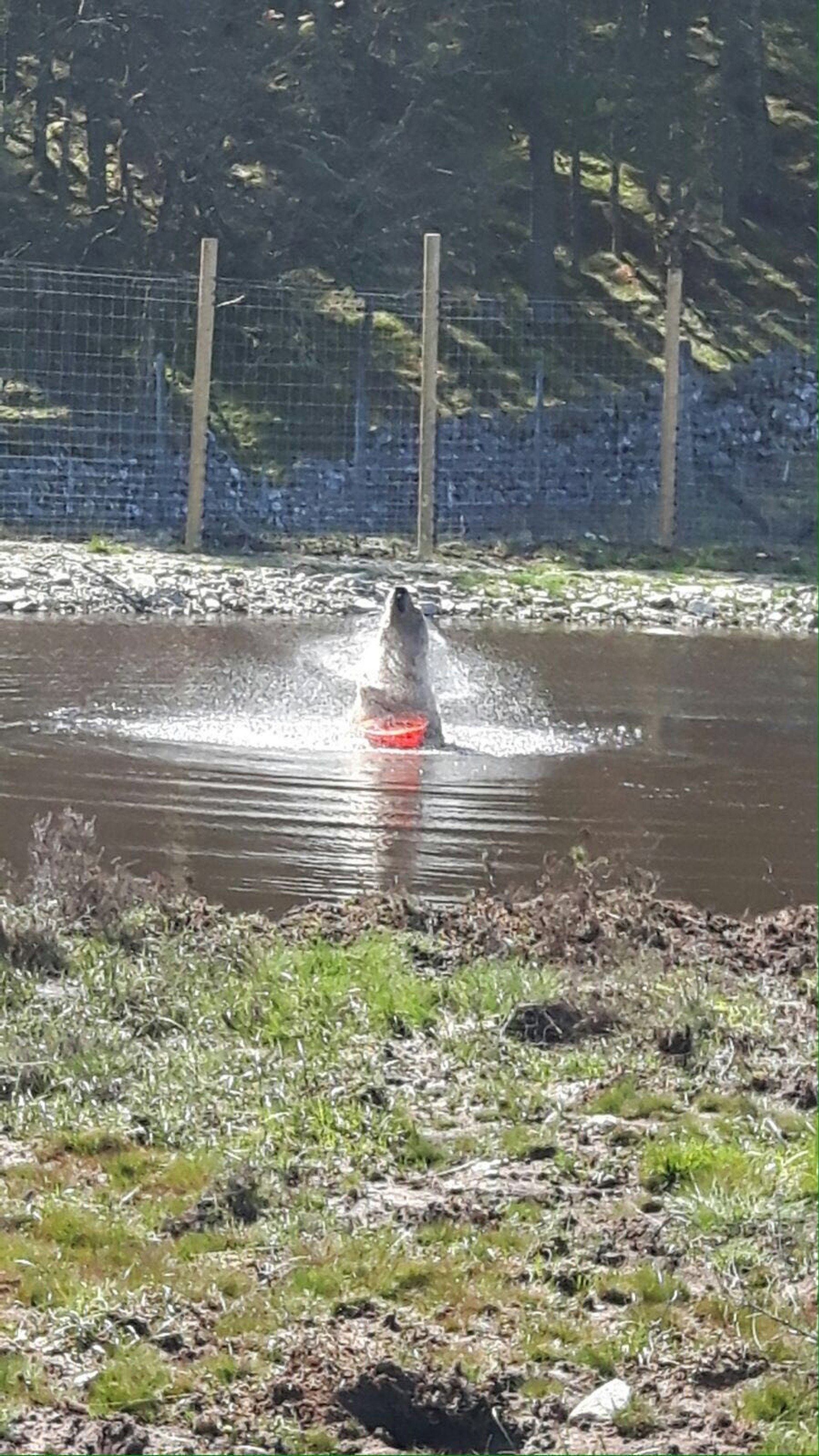 Background image - HWP 1