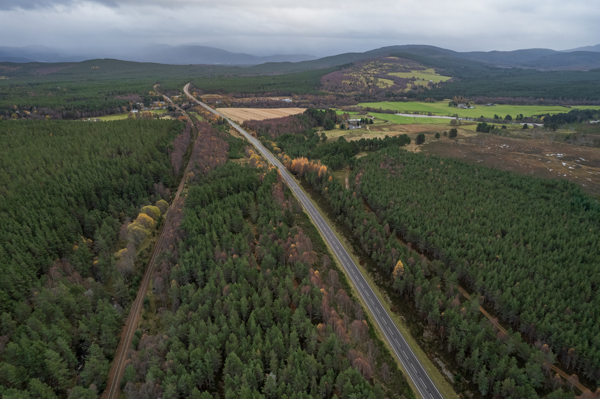 Background image - 20211110 = Dalraddy Slochd 003