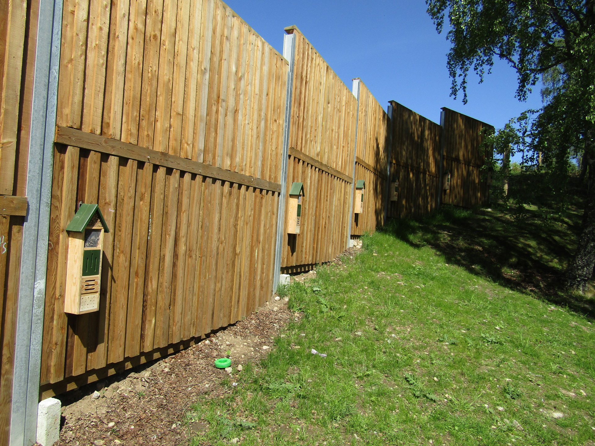 Background image - IMG 7175