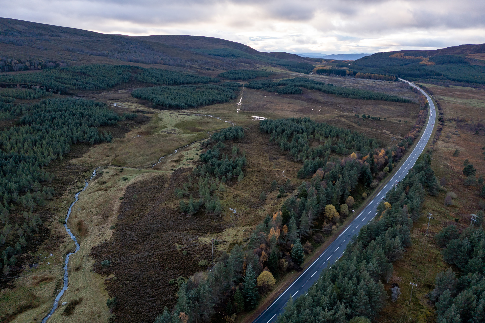 Background image - 20211102 = Tomatin Moy 028