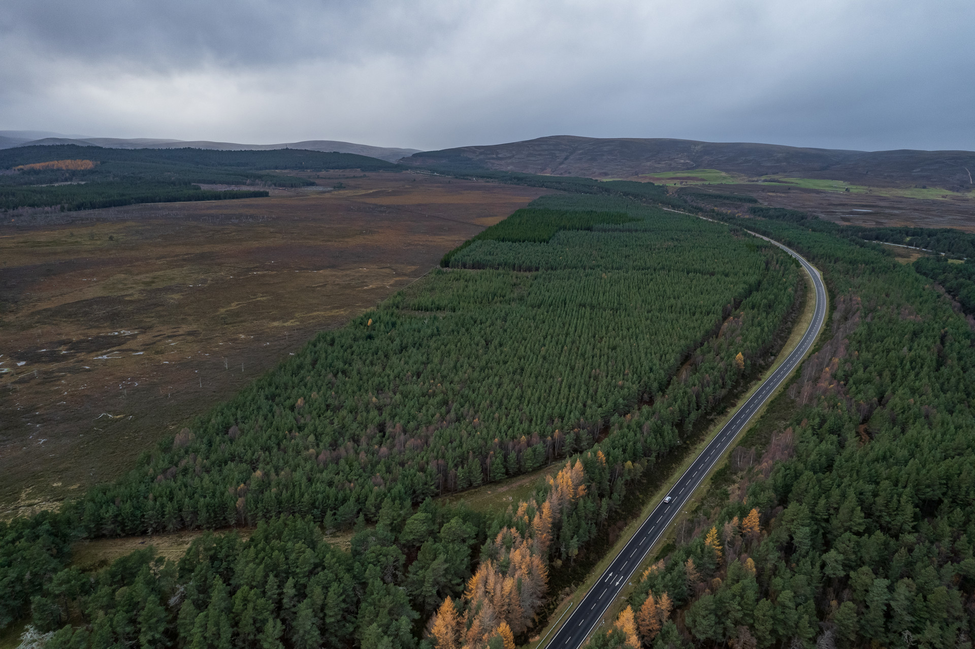 Background image - 20211110 = Dalraddy Slochd 001