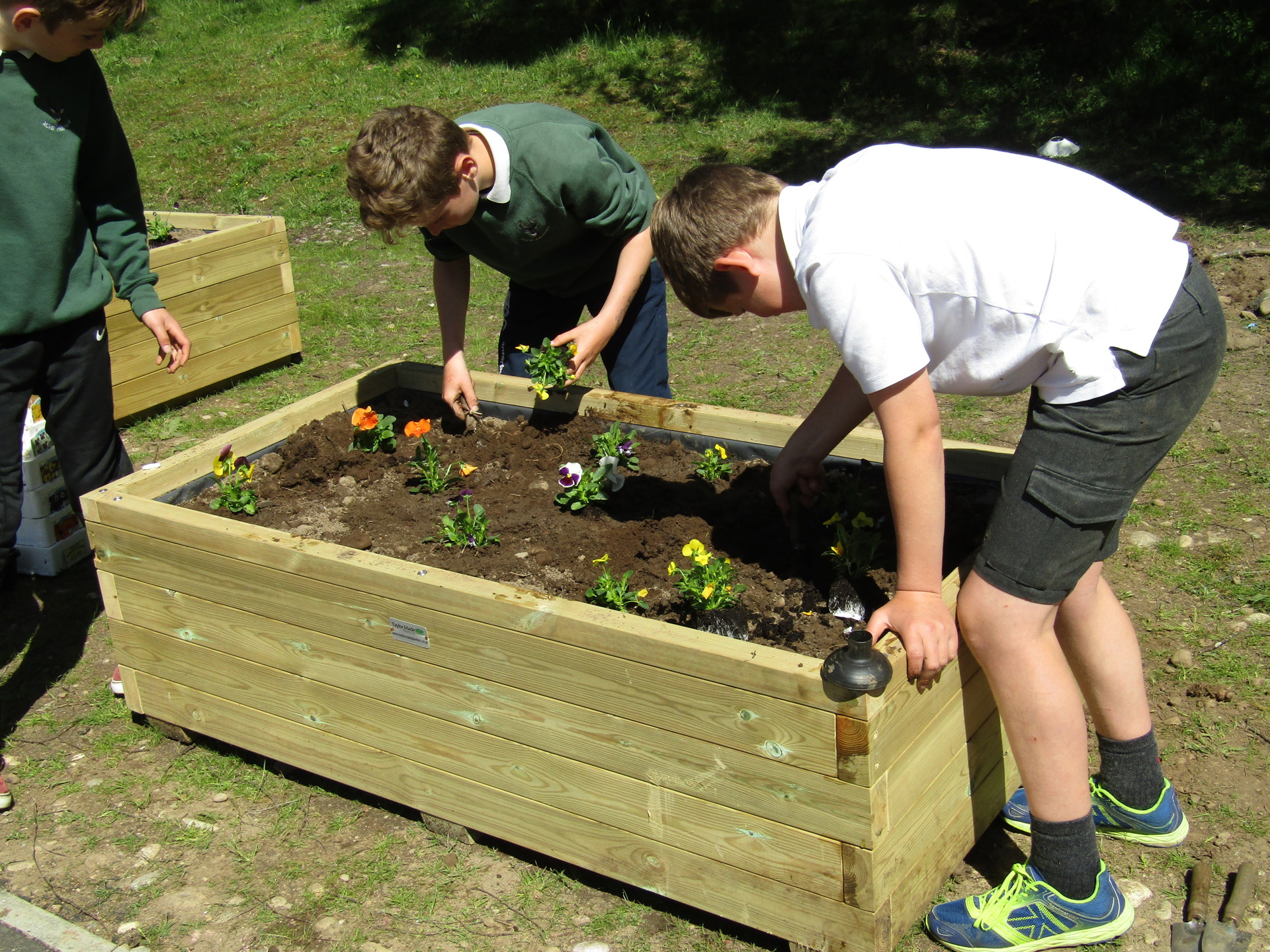 Background image - IMG 7203