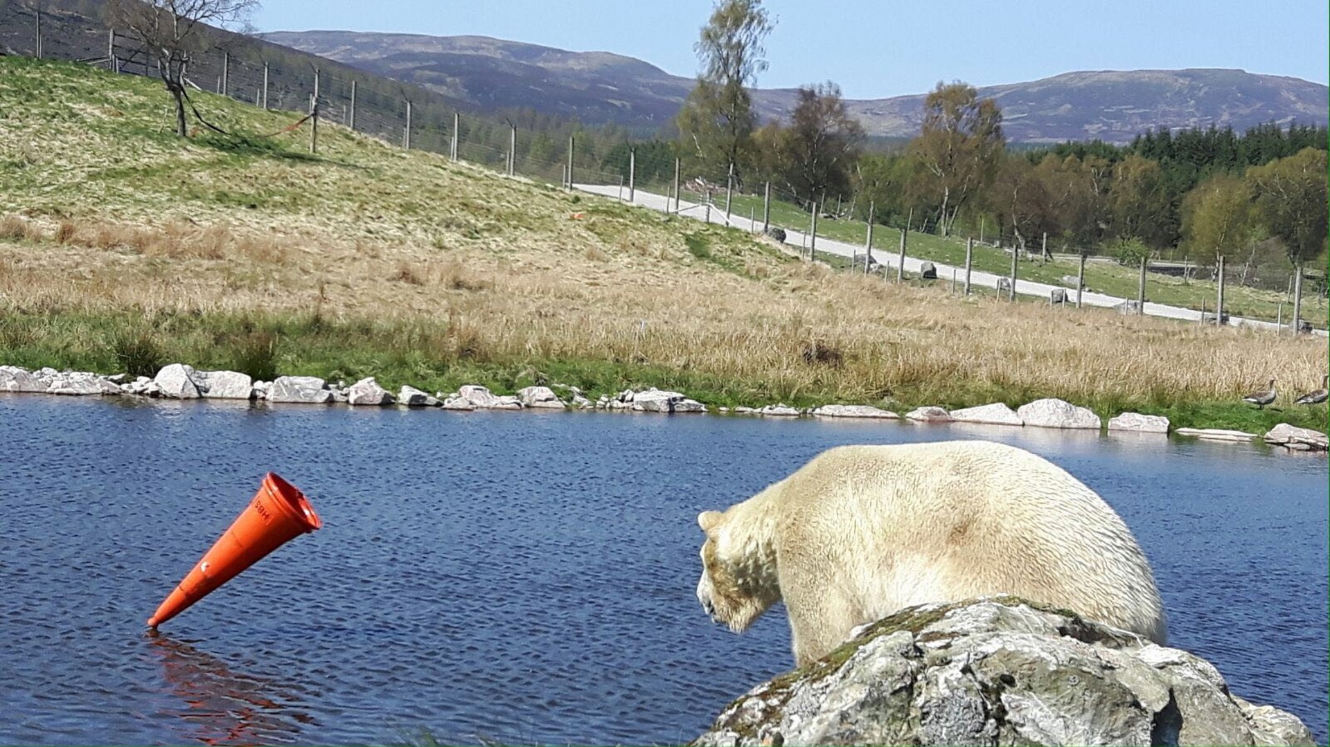 Background image - HWP4